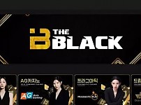 먹튀확정 먹튀사이트 < 더블랙 THEBLACK  >